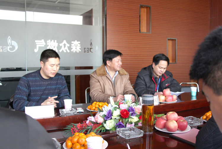 林口县政府与UED官网-中国一站式在线服务官网燃气项目洽谈.png